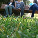 Melanie Knoll Photo 4