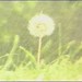 Wendy Hoey Photo 5