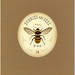 Mark Bees Photo 7