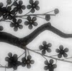 Jonathan Steinbach Photo 8