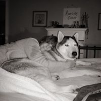 Lisa Pickett Photo 40