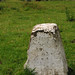 Robert Stone Photo 8