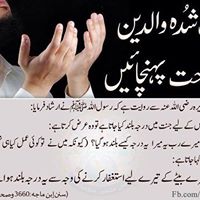 Naveed Mirza Photo 32