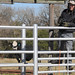 Mark Corral Photo 7