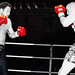 Peter Timmins Photo 7