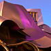 Frank Haro Photo 3