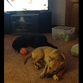 Cindy Jones Photo 9