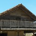 Maximo Rivas Photo 6