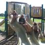 Donna Wray Photo 17