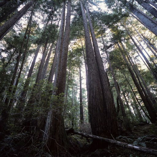 Patrick Lai Photo 10