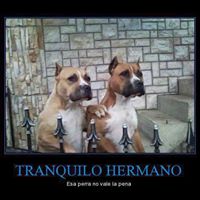 Omar Frausto Photo 2