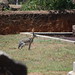 Patricia Gooch Photo 6