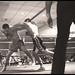 Sean Harmon Photo 9