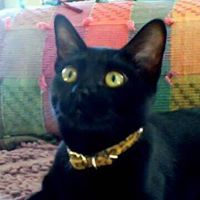 Cathie Phillips Photo 3
