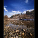 Gail Long Photo 9