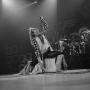 David Roth Photo 18