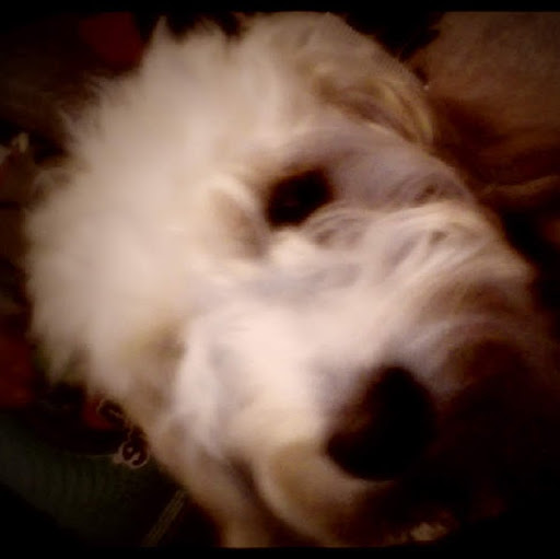Max Trejo Photo 7