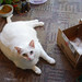 Lucy Sessions Photo 8