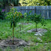 Glenn Meyer Photo 10