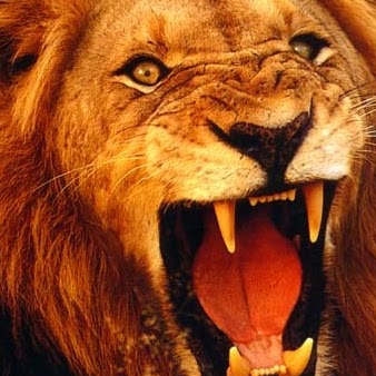 Suresh Bhatti Photo 2