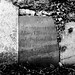 Mary Elston Photo 12