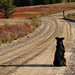 Maggie So Photo 14