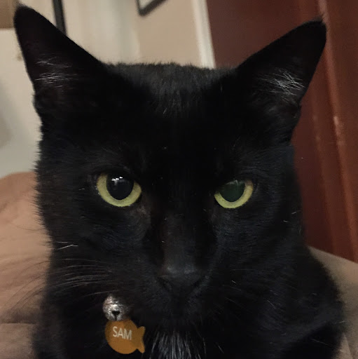 Chadwick Saxelid Photo 2