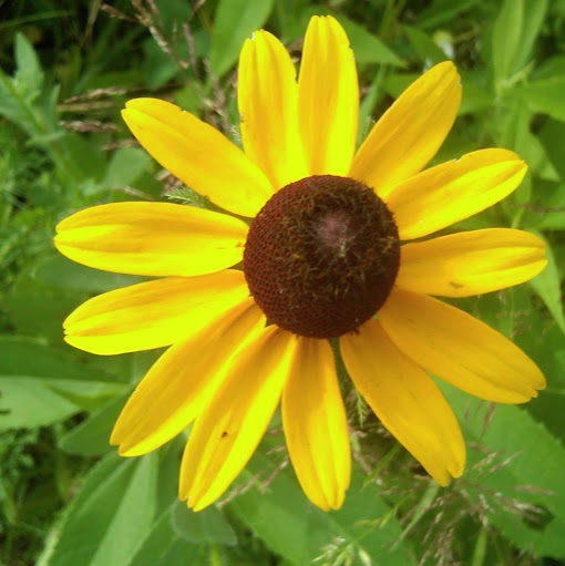 Mary Vogel Photo 29