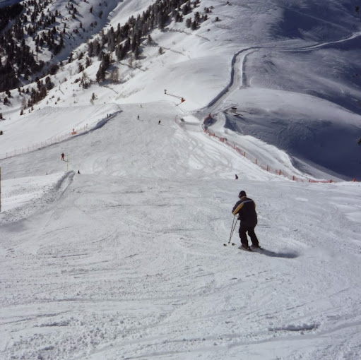 Robert Halas Photo 12
