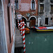 Pedro Venecia Photo 4