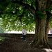 Matt Shade Photo 6