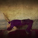 Jean Purpura Photo 2
