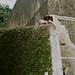 Bernard Vines Photo 7