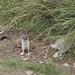 Angela Webb Photo 10