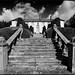 Frederick Sharp Photo 9