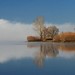 Lawrence Fredericks Photo 10