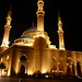 Mohammed Amin Photo 9