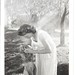 Lois Lewis Photo 13