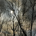 Zoltan Deak Photo 8