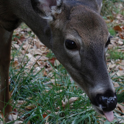 Catherine Barritt Photo 6