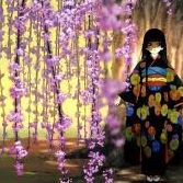 Michelle Hu Photo 27
