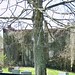 Elizabeth Ryland Photo 8