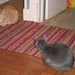 Georgie Gray Photo 9