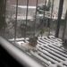 Jay Dove Photo 5