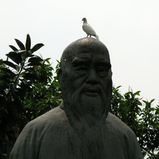 Vin Wu Photo 6