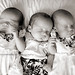 Lauri Wells Photo 7