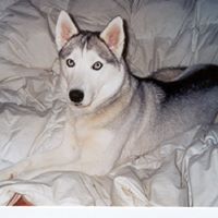 Kevin Broyles Photo 15