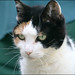 Myra Lang Photo 8