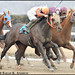 Sheldon Russell Photo 10