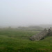 Cliff Bradley Photo 8